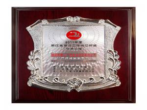 2011年度省建設(shè)工程錢(qián)江杯獎(jiǎng)——籌建的愛(ài)山廣場(chǎng)（步行街區(qū)）1#、3#標(biāo)段